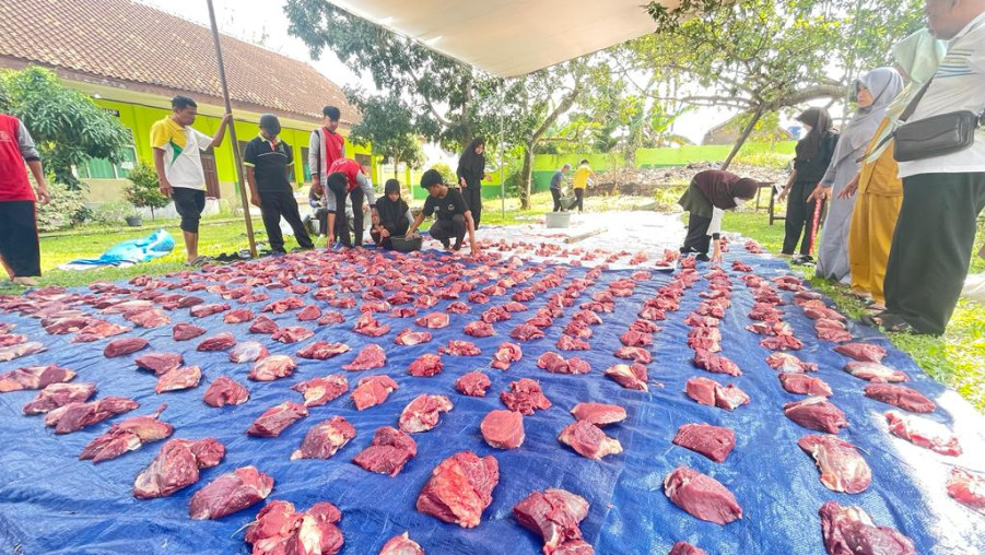 MAN 1 Bandar Lampung Distribusikan 270 Bungkus Daging Kurban pada Idul Adha 1444 H