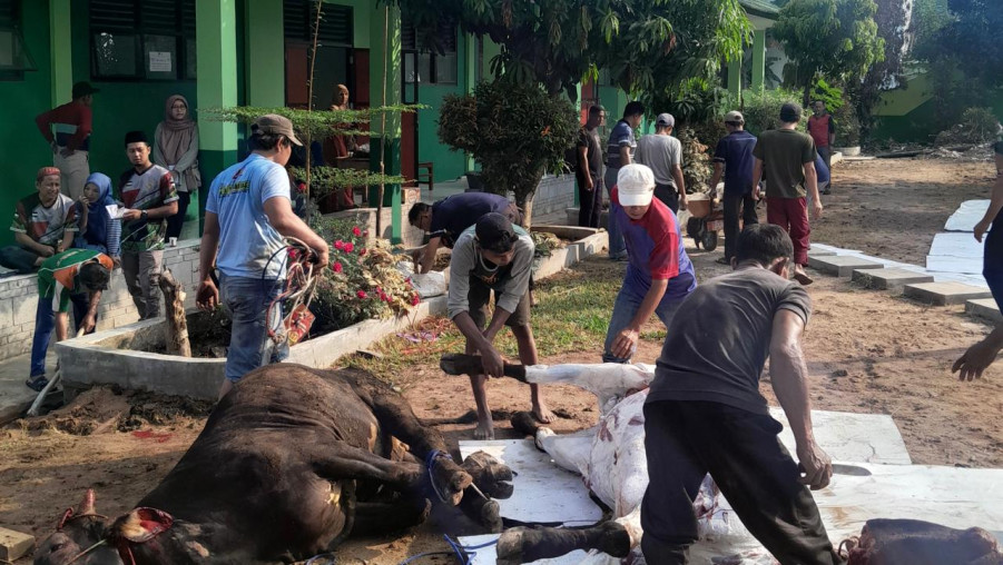 MAN 1 Bandar Lampung Kurban 5 Hewan Kurban, Wujud Syukur dan Kepedulian