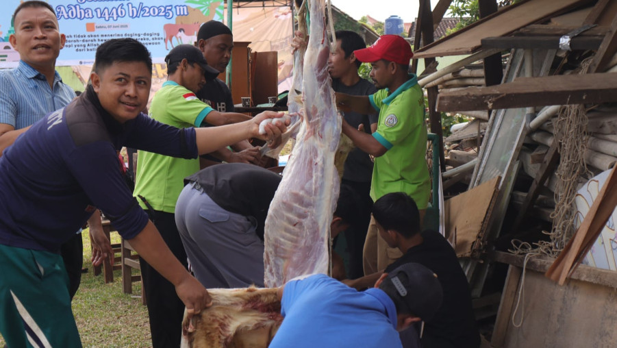 Pemotongan Hewan Qurban